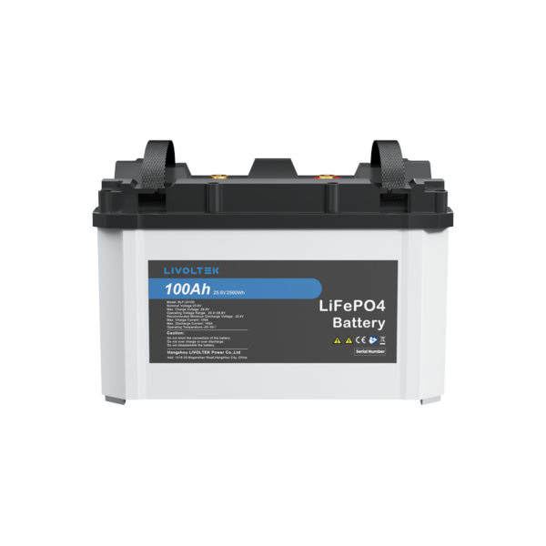 Livoltek 48V 100Ah Lithium Battery Bank
