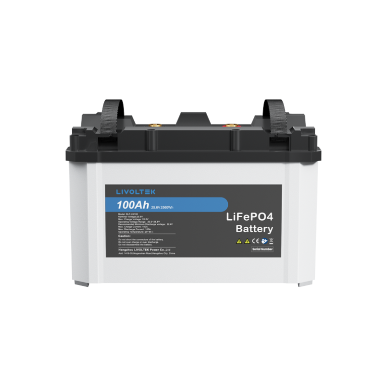 Livoltek 48V 100Ah Lithium Battery Bank