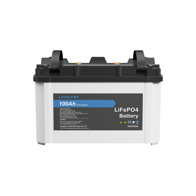 Livoltek 48V 100Ah Lithium Battery Bank