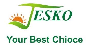Jesko Solar
